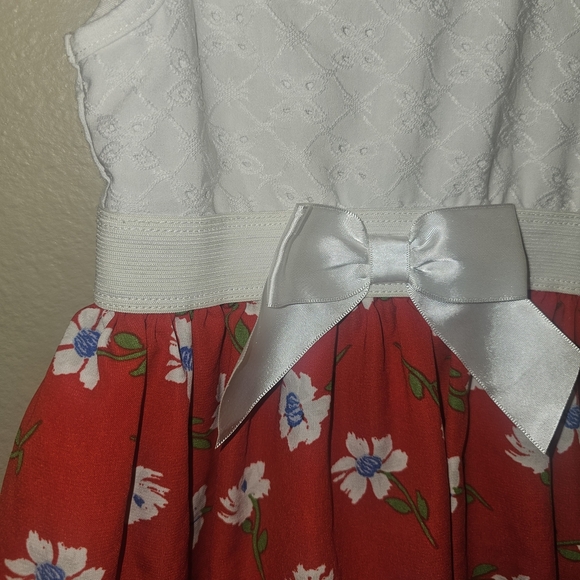 Lilt Red and White Scoop Neck Sundress - Picture 4 of 8